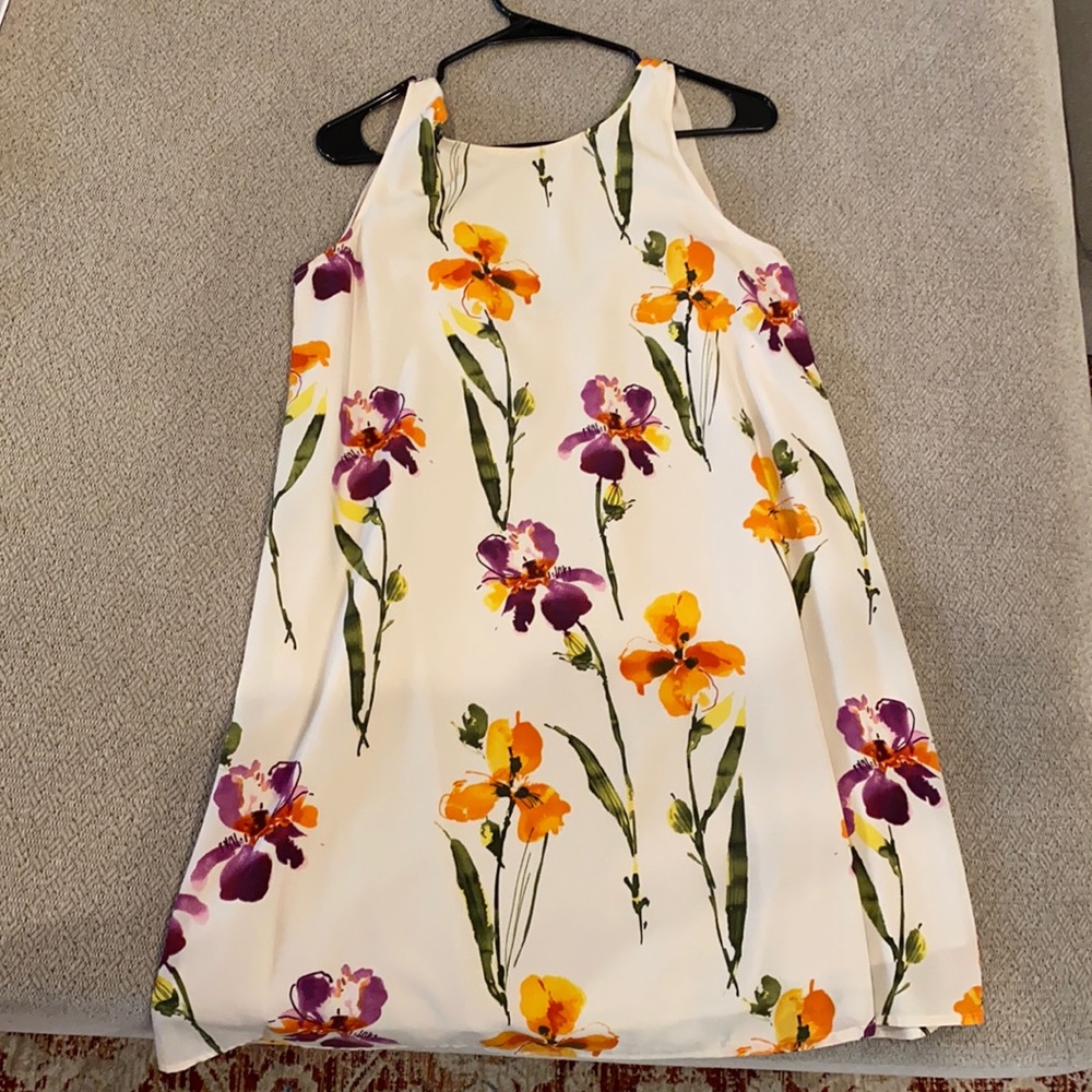 Collective Concepts Dress